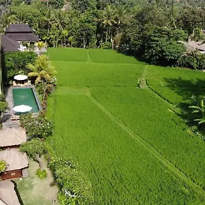Byasa 3*, Ubud Indonesia
